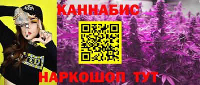 мдпв Владимир
