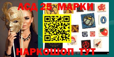 мяу мяу мука Владивосток