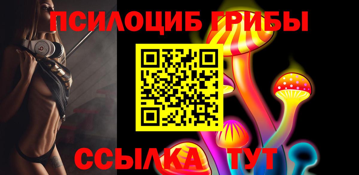 Галлюциногенные грибы мицелий Ачхой-Мартан