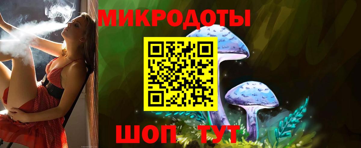Ачхой-Мартан  где можно купить наркотик  Вход с VPN  Галлюциногенные грибы Psilocybine cubensis 